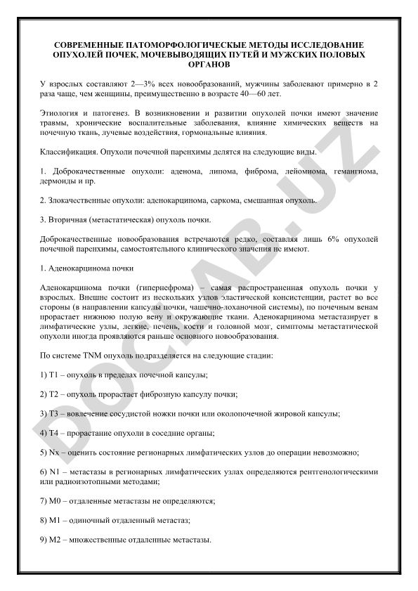 Современные патоморфологические методы исследования опухолей почек, мочевыводящих путей и мужских половых органов