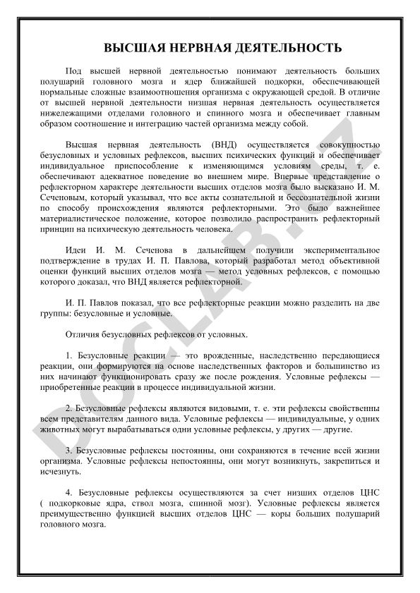 Высшая нервная деятельность