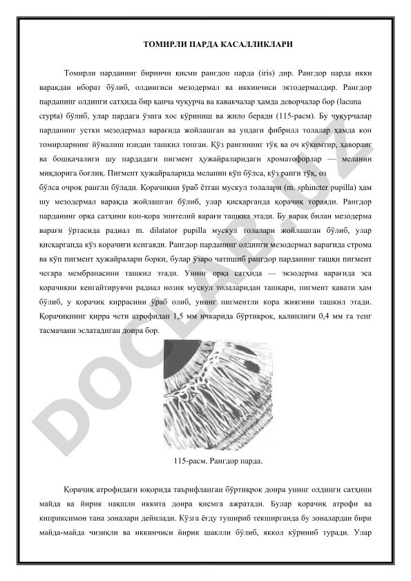 Томирли парда касалликлари