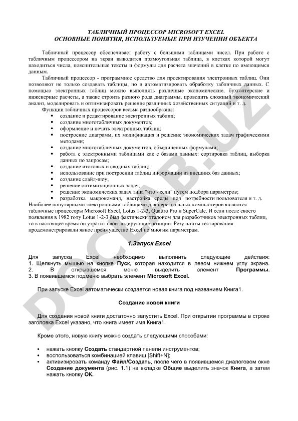 Табличный процессор Microsoft Excel: основные понятия и функции