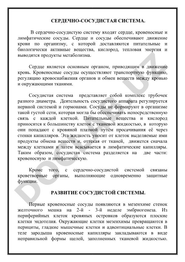 Сердечно-сосудистая система человека