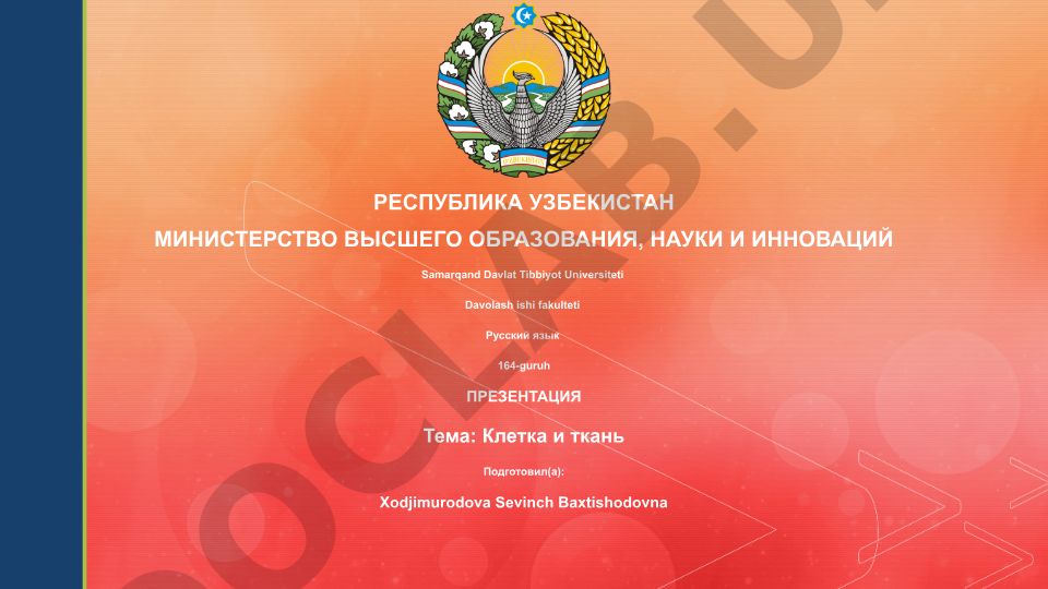 Клетка и ткань