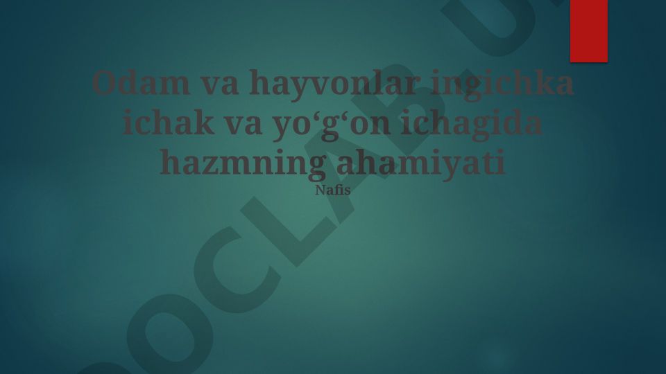 Odam va hayvonlarda ingichka va yoʻgʻon ichaklarda hazm jarayoni