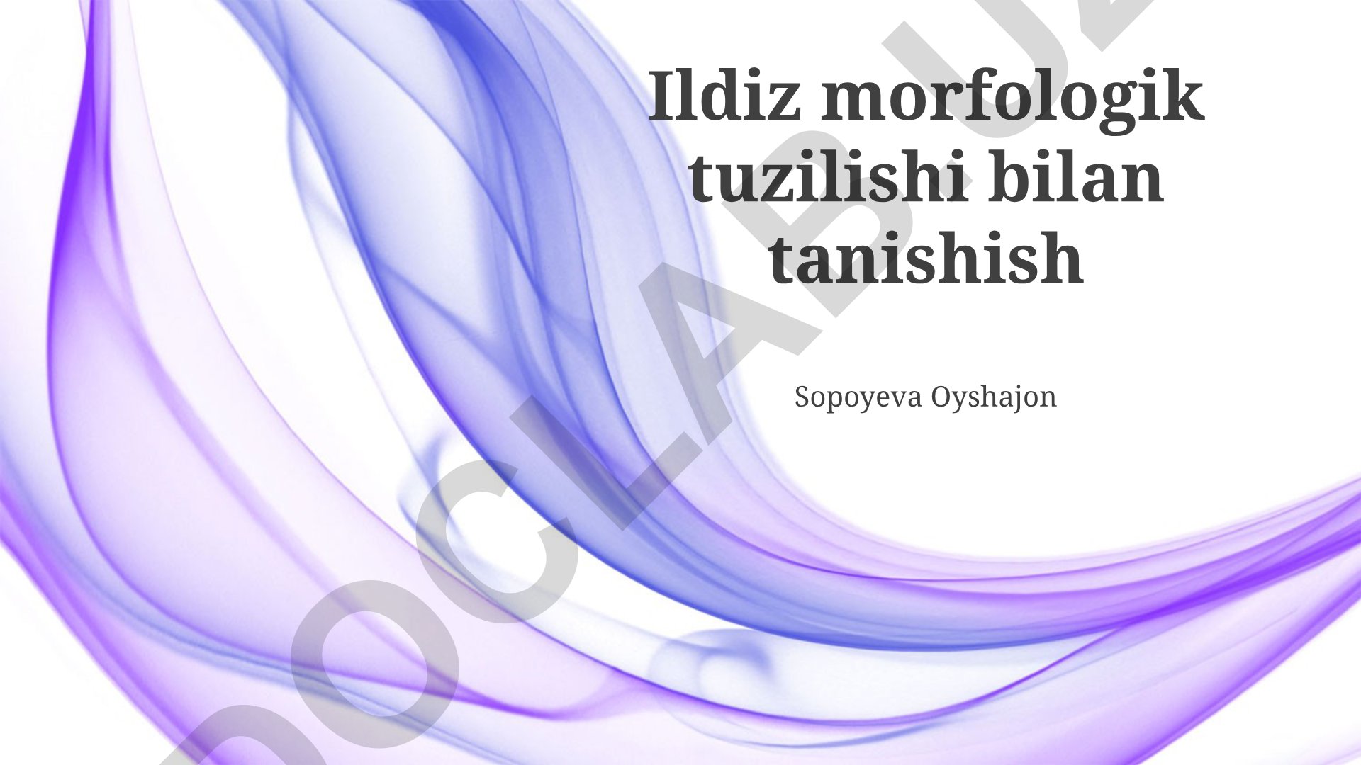 Ildizning morfologik tuzilishi va o'zbek tilidagi xususiyatlari
