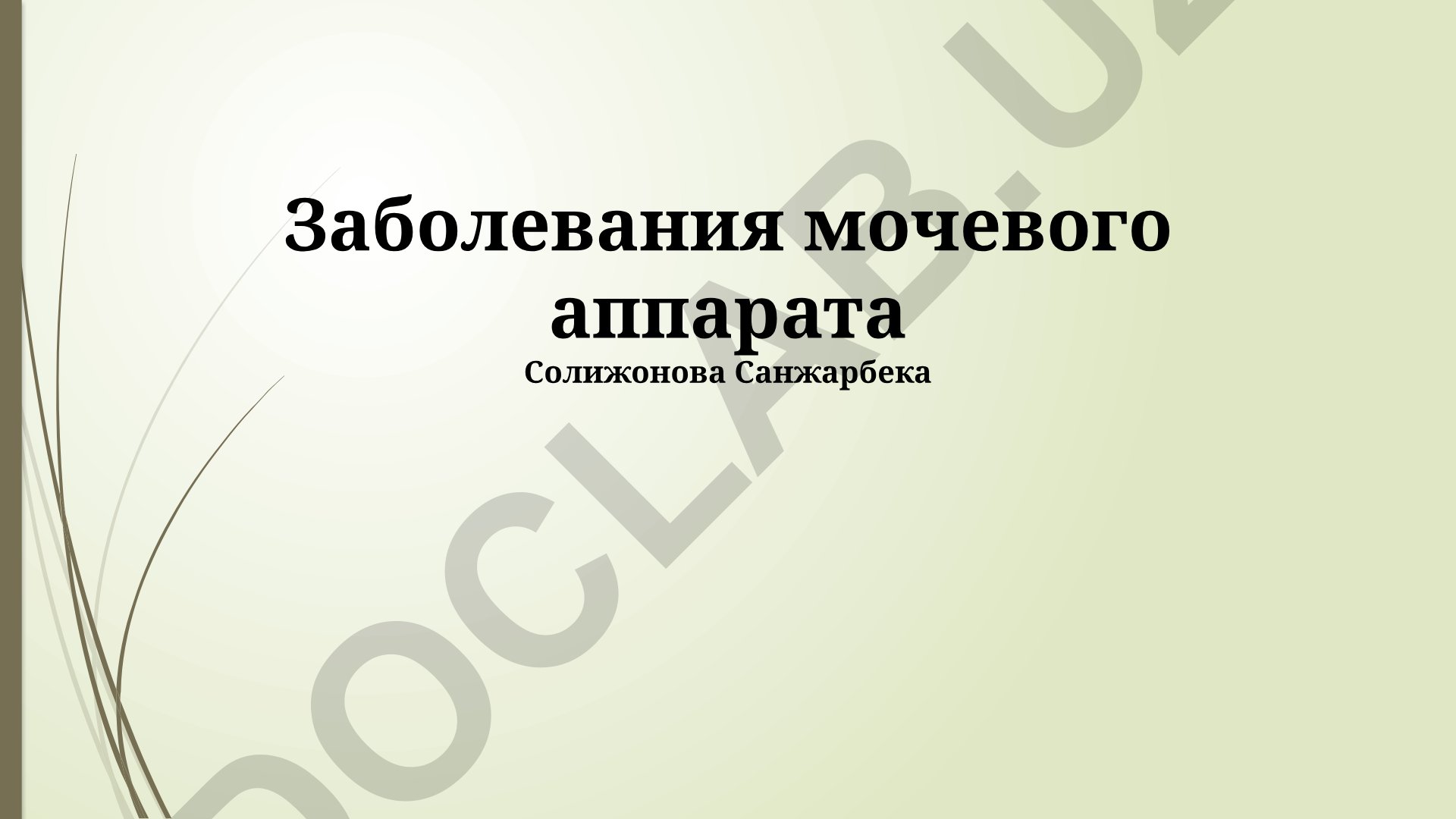Заболевания мочевого аппарата