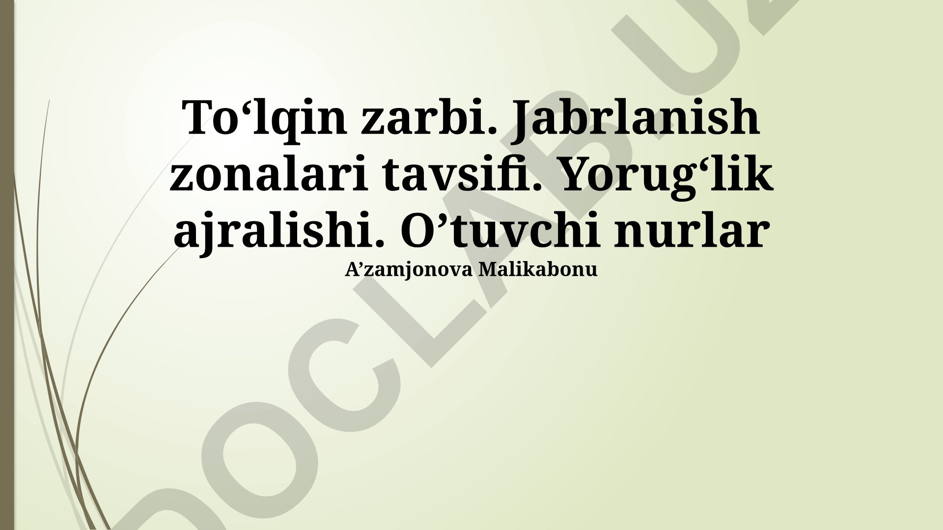 To'lqin zarbi va o'tkinchi nurlar