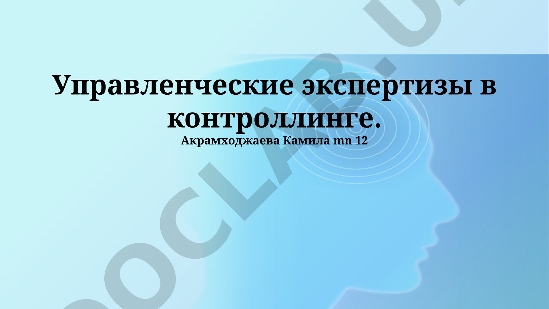 Управленческие экспертизы в контроллинге
