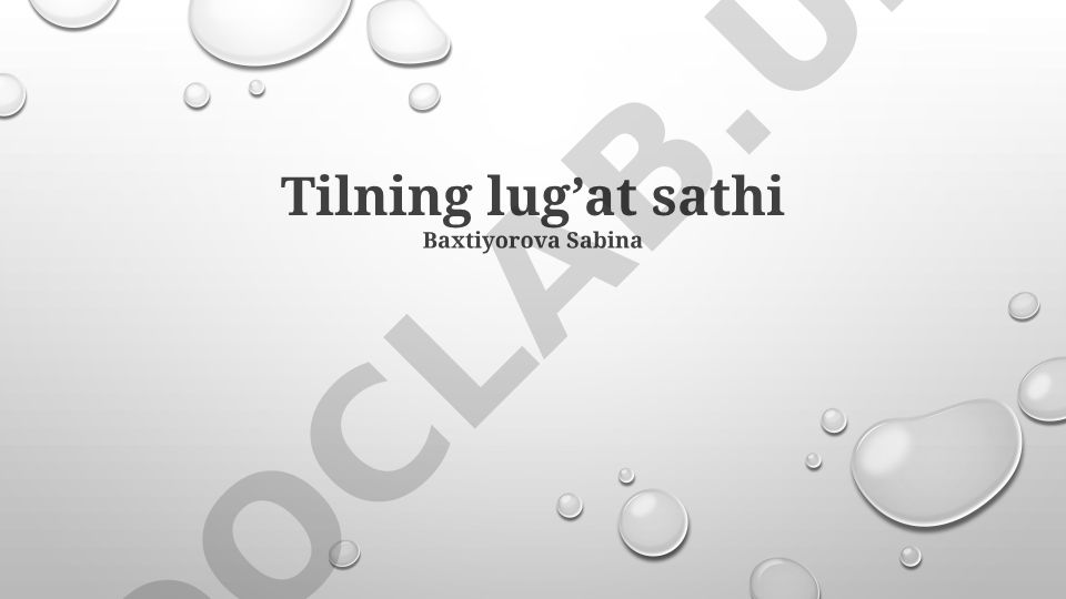 Nutq lug'ati darajalari, tuzilishi va funktsiyalari