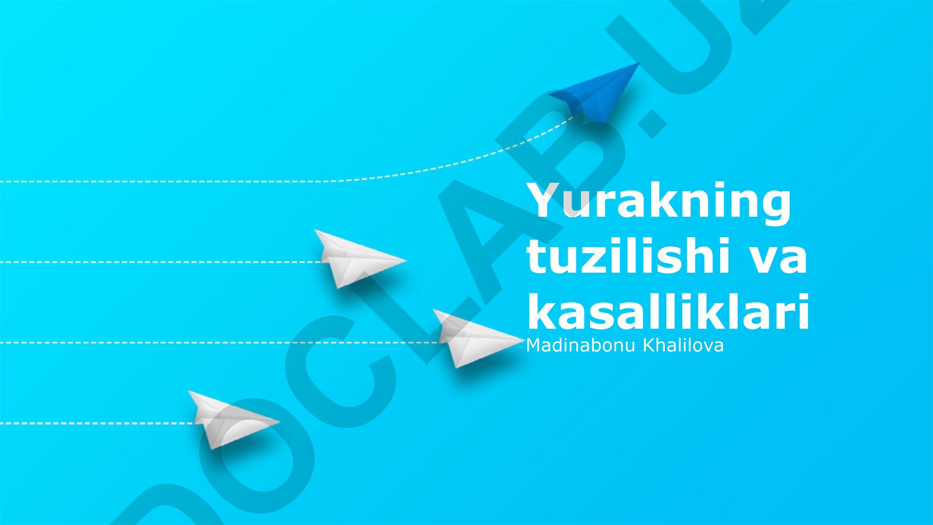 Yurakning tuzilishi va kasalliklari