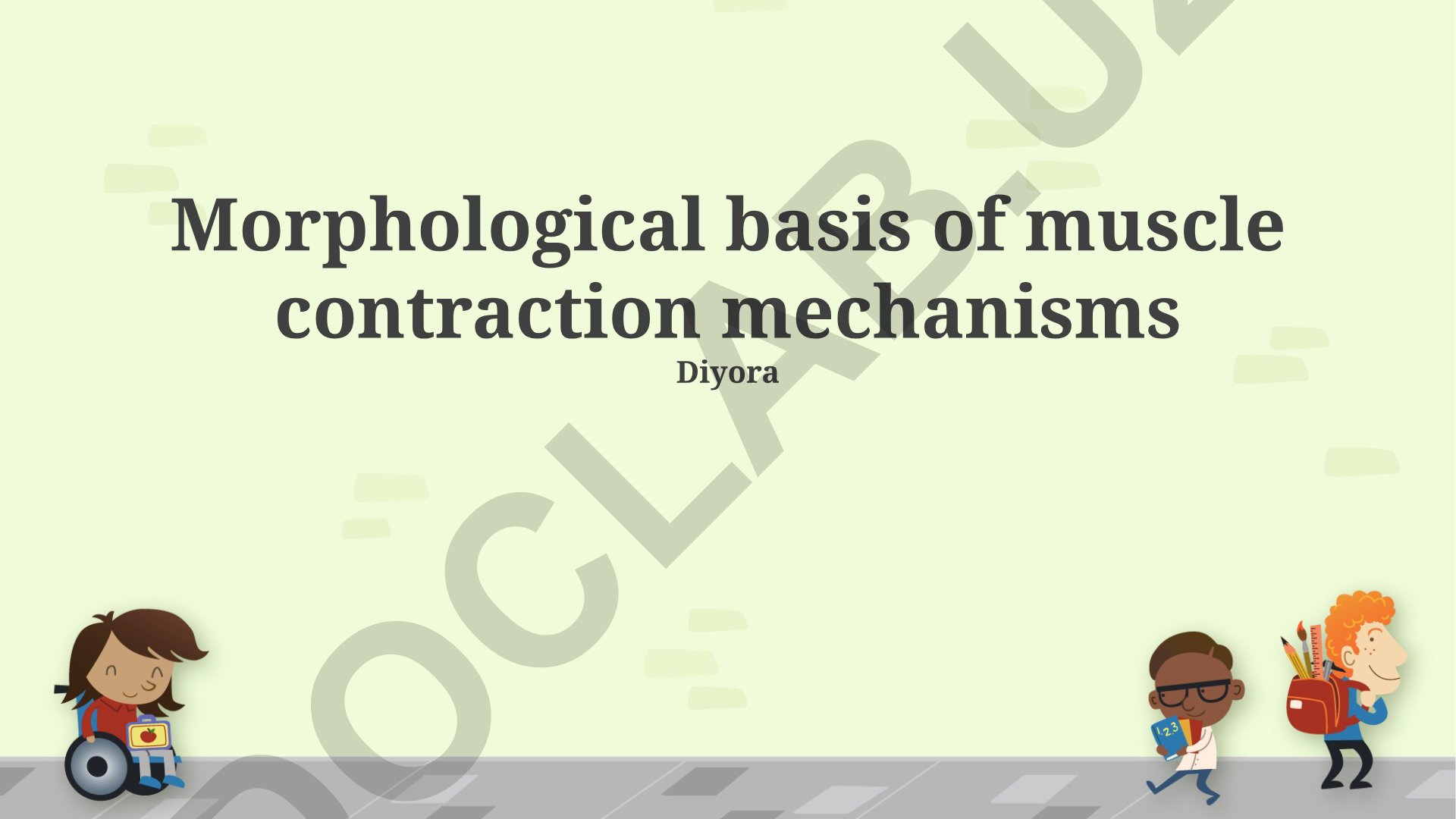 Morphological basis of muscle contraction mechanisms