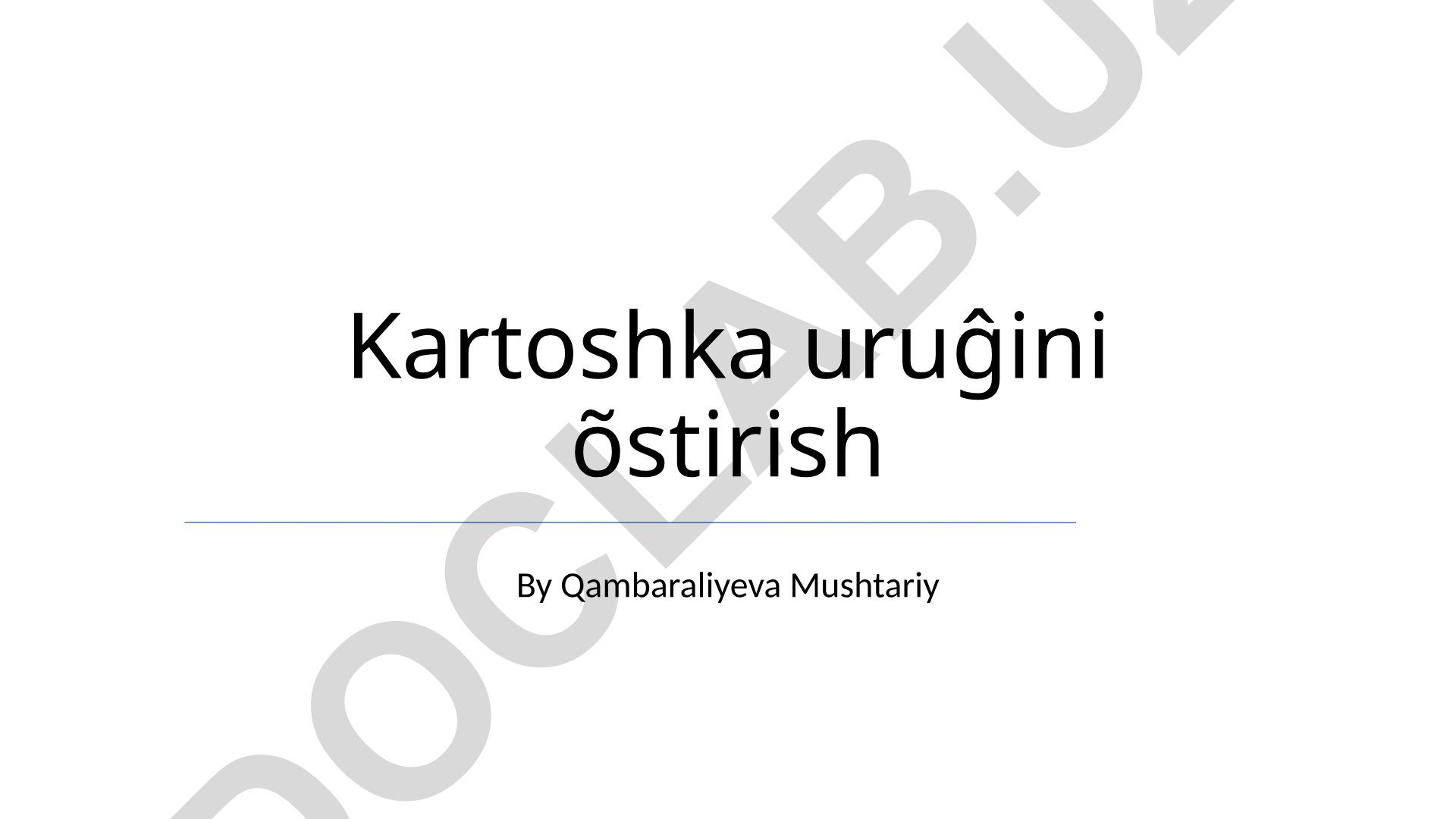 Kartoshka urug'ini o'stirish texnologiyalari va hosildorlikni oshirish