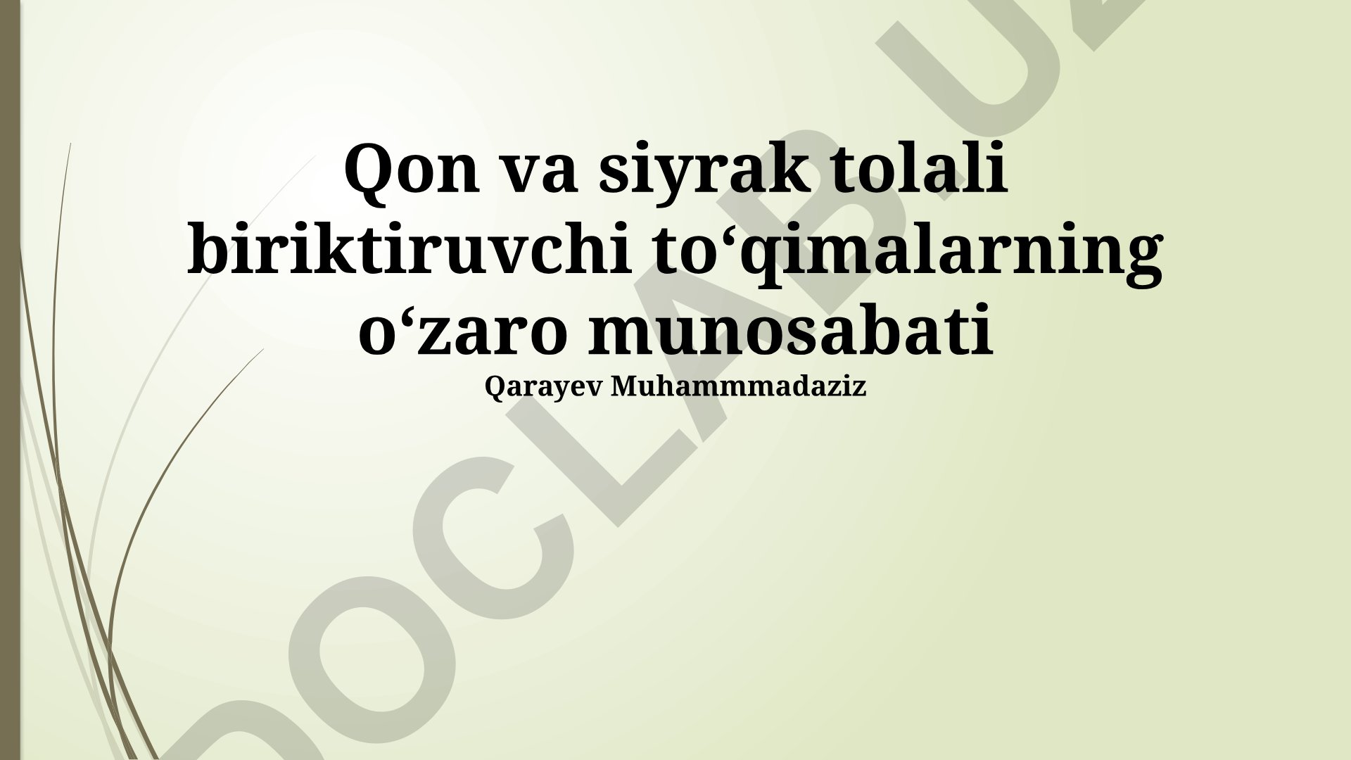 Zich va bo'sh tolali biriktiruvchi to'qimalarning o'zaro munosabati