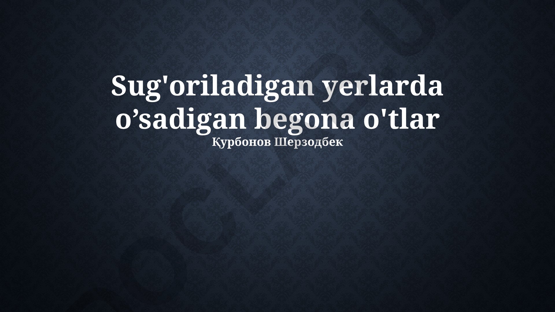 Sug'oriladigan yerlarda o'sadigan begona o'tlar