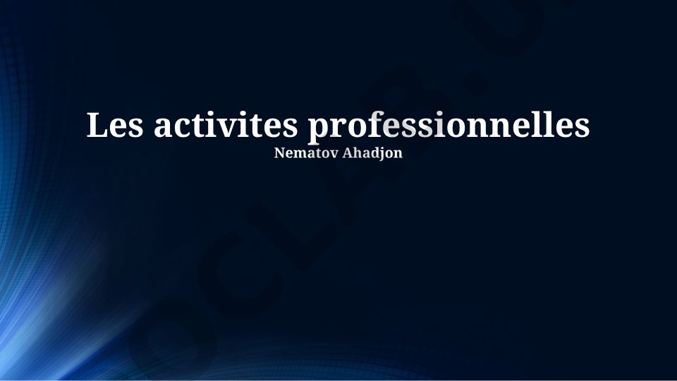 Les activités professionnelles en France