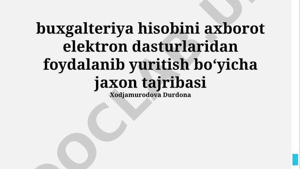 Buxgalteriya hisobini axborot elektron dasturlaridan foydalanib yuritish bo'yicha jahon tajribasi