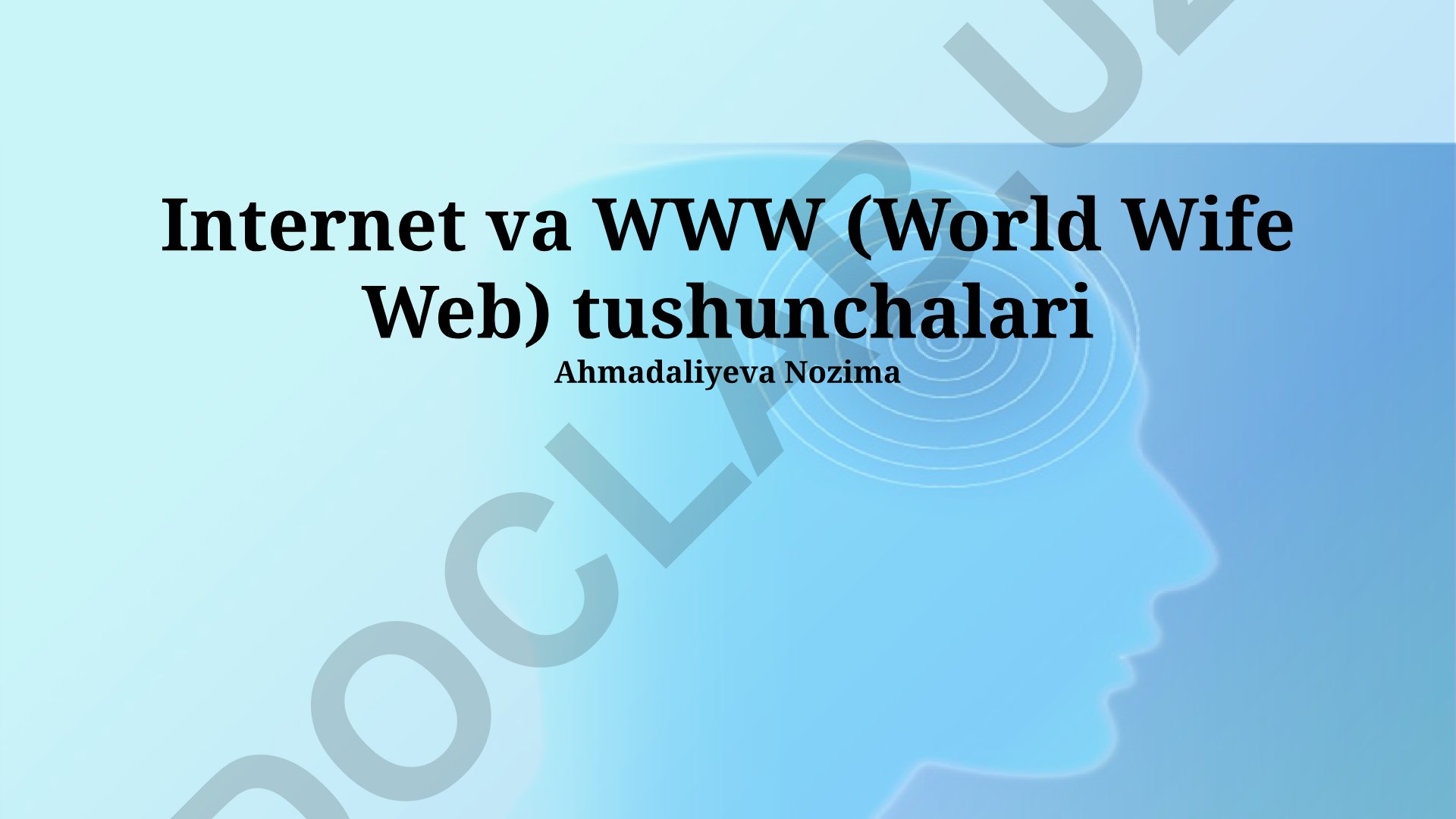Internet va WWW tushunchalari