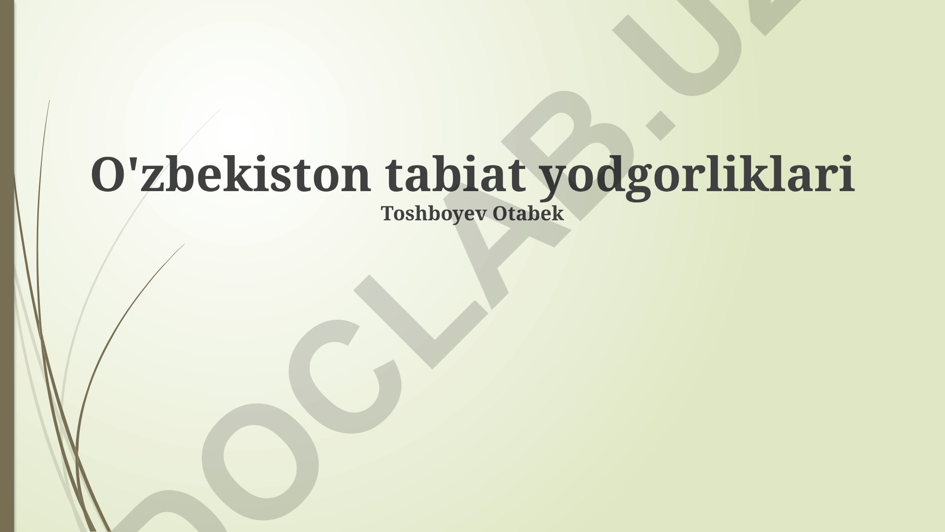 O'zbekiston tabiat yodgorliklari va ularni muhofaza qilish