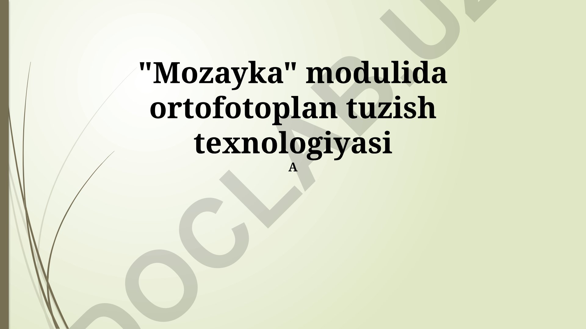 Mozayka modulida ortofotoplan tuzish texnologiyasi