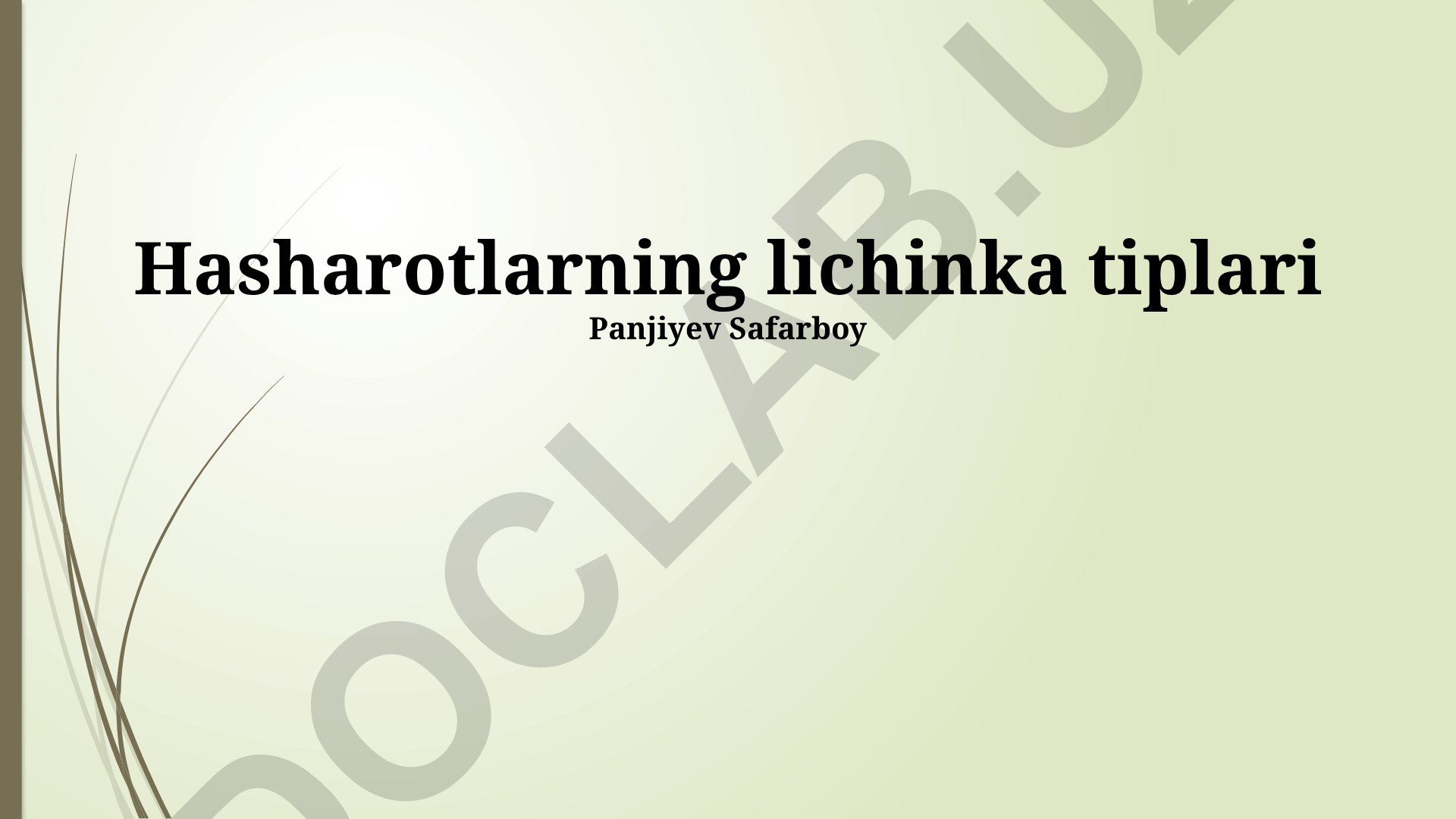 Hasharotlarning lichinka tiplari va ularning tasnifi