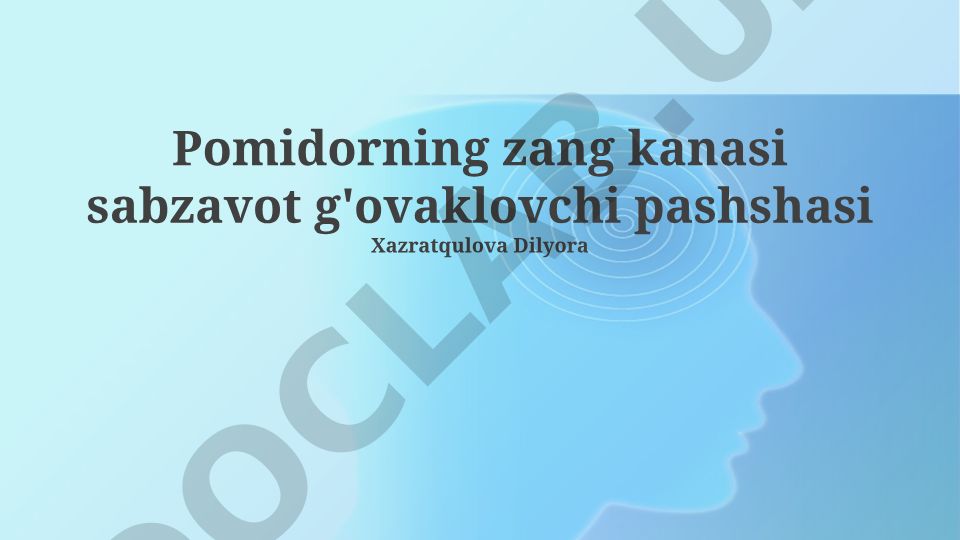 Pomidor zang kanasi va sabzavot barg konchisi: identifikatsiya, zarar va kurash usullari