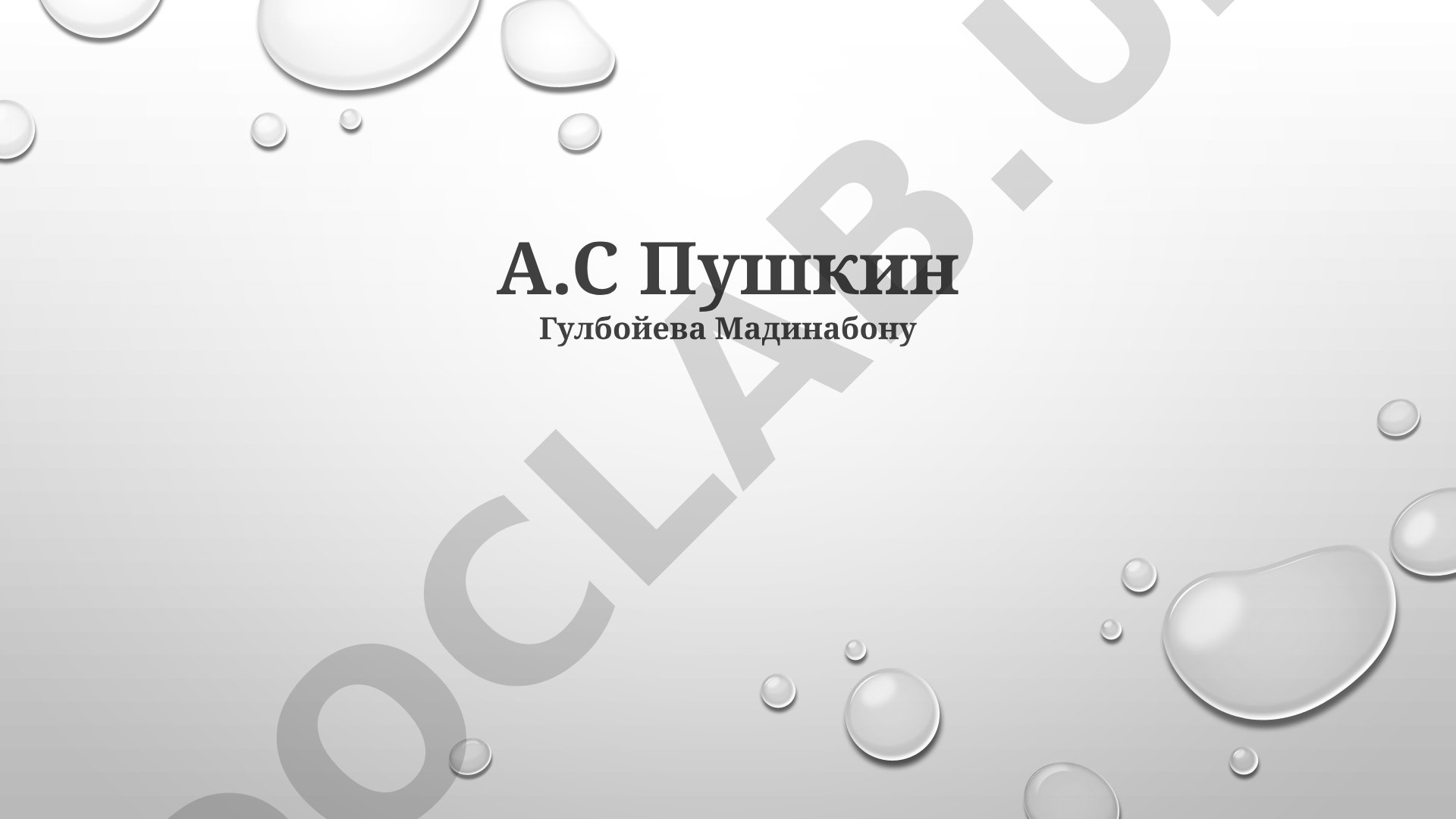 А.С Пушкин: биография, творческий путь, основные темы и мотивы