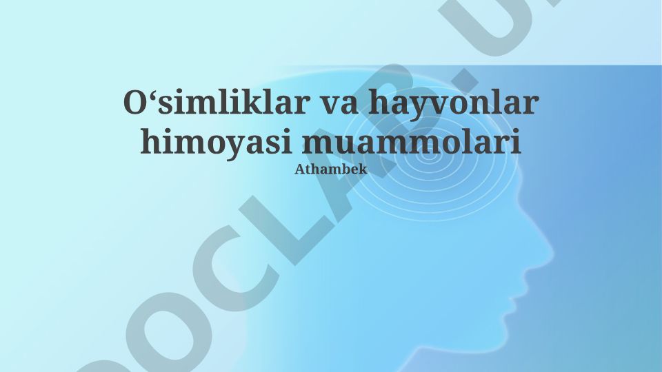 O'simliklar va hayvonlar himoyasi muammolari