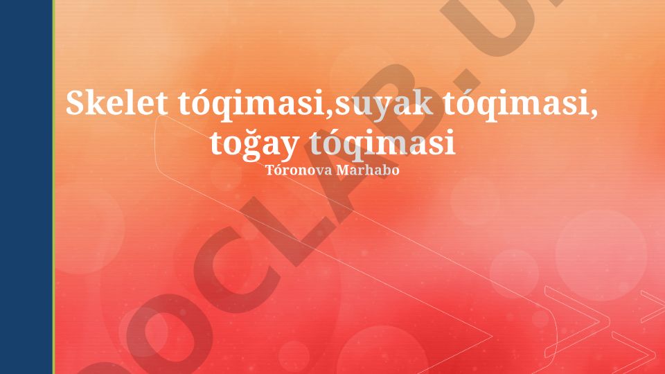 Skelet, suyak va to'g'ay to'qimalari tuzilishi va funksiyalari