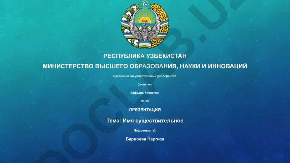 Имя существительное в русском языке