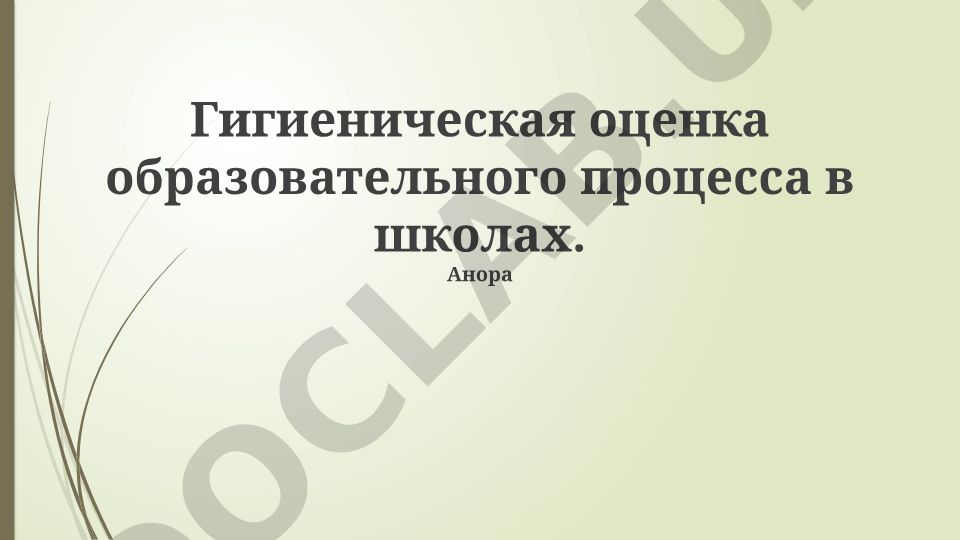 Гигиеническая оценка образовательного процесса в школах