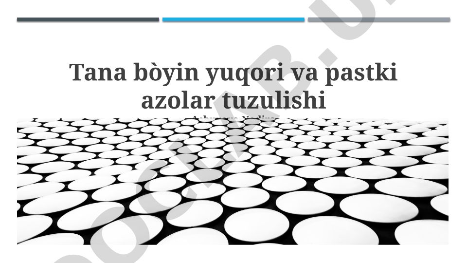 Sigir bo'yni va oyoq-qo'llari tuzilishi