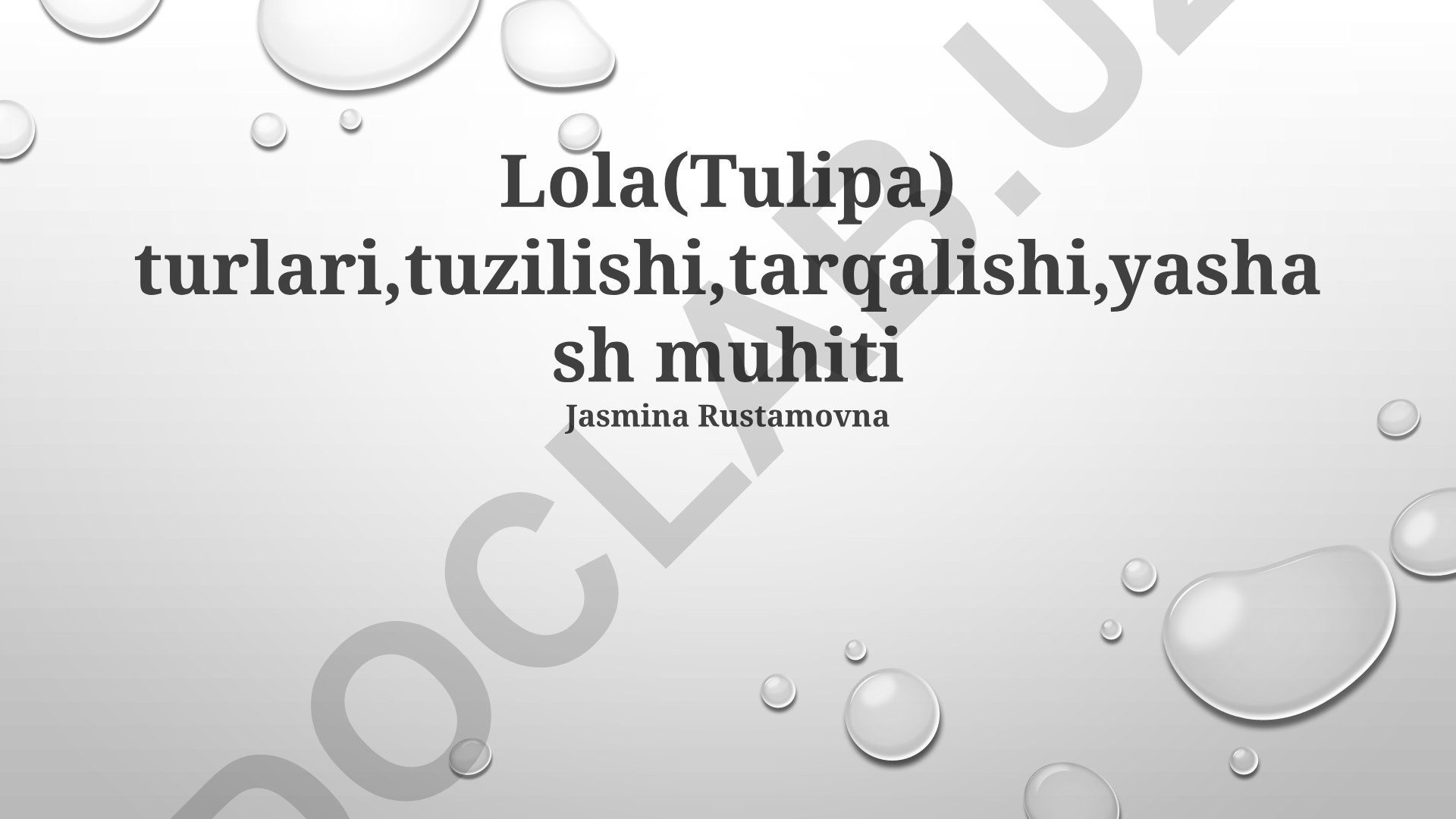 Lola (Tulipa) turlari, tuzilishi, tarqalishi va yashash muhiti