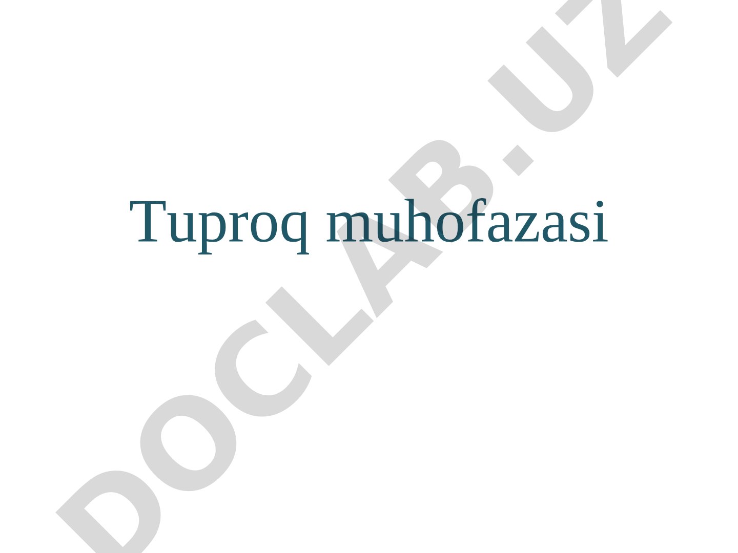 Tuproq muhofazasi