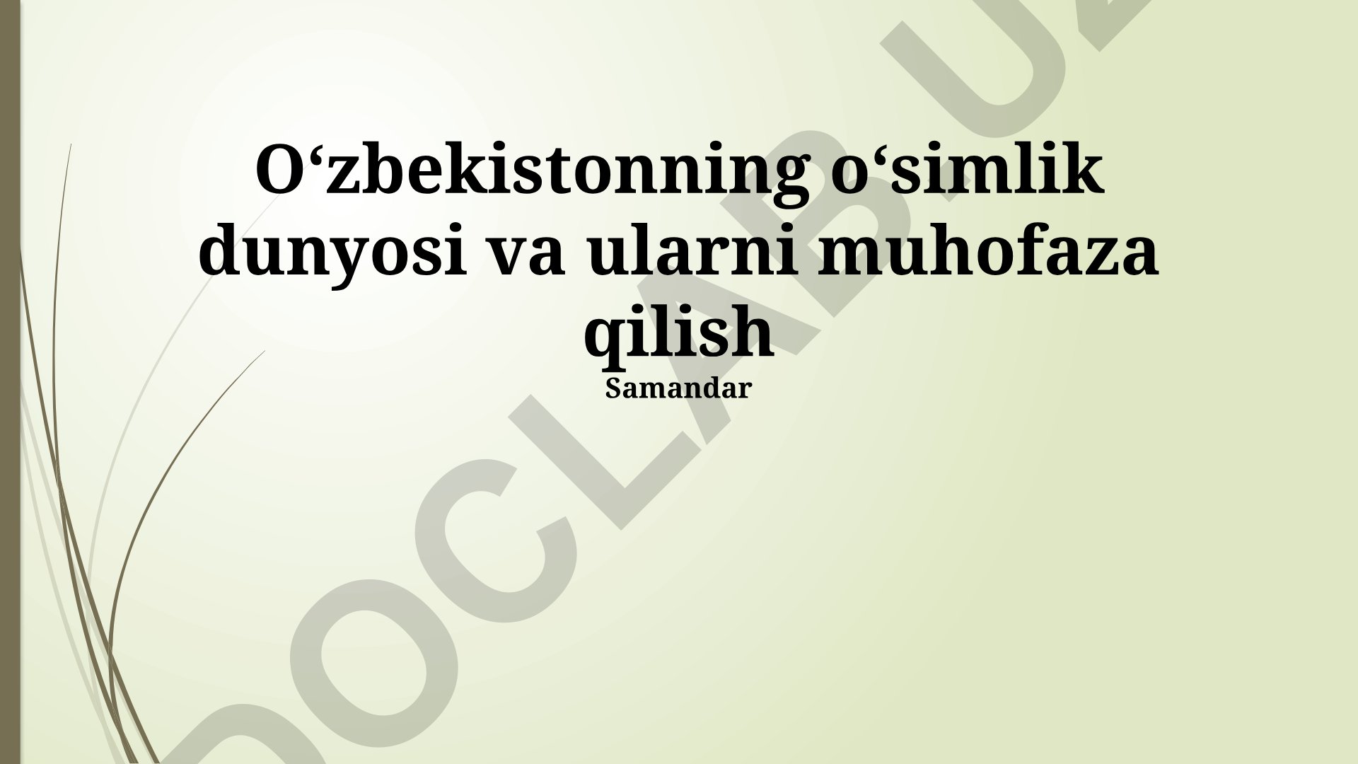 O‘zbekistonning o‘simlik dunyosi va ularni muhofaza qilish