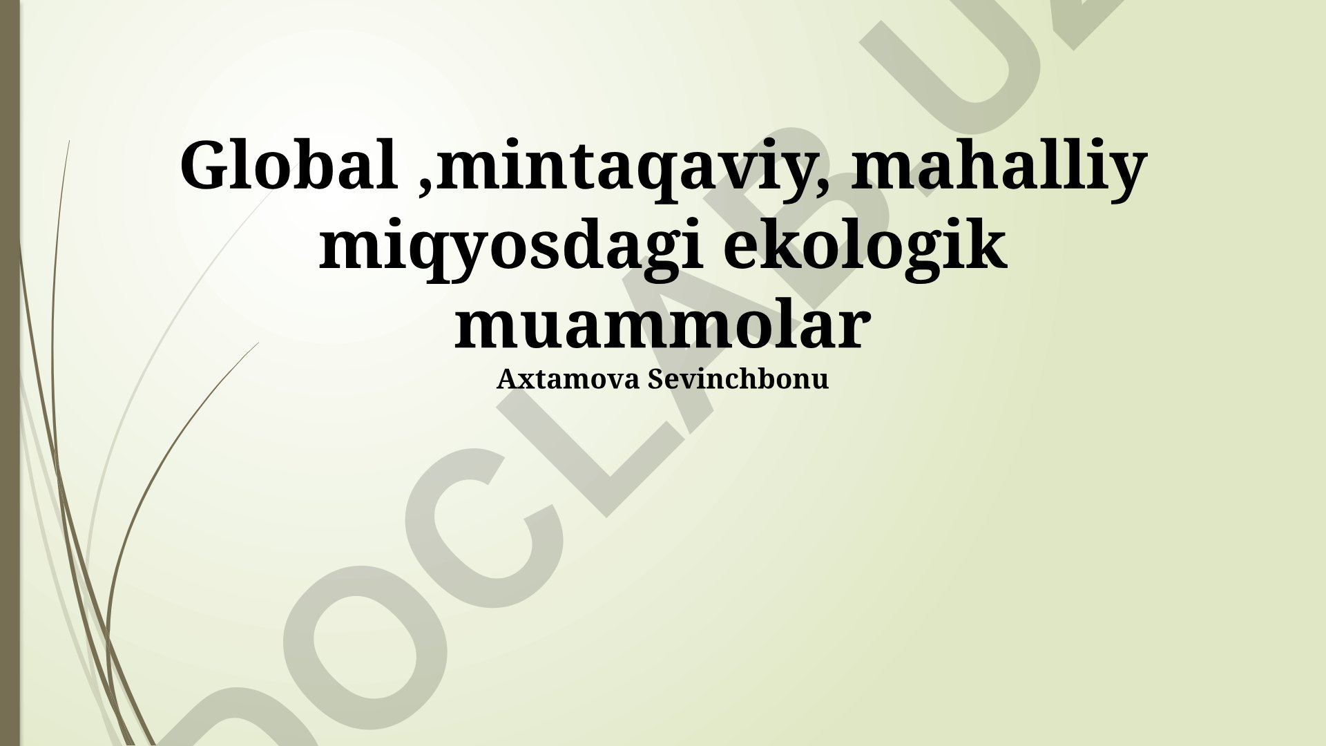 Global, mintaqaviy va mahalliy ekologik muammolar