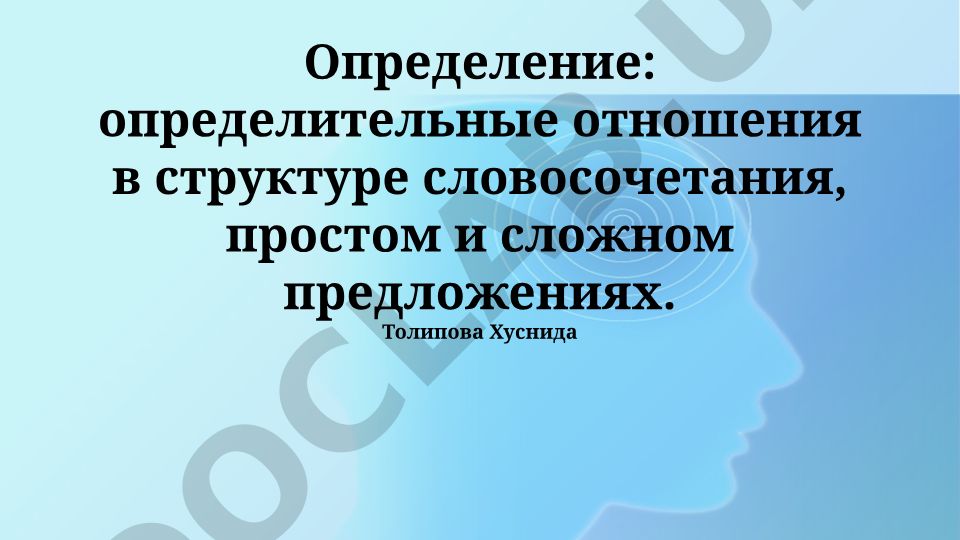 Атрибутивные отношения в словосочетании и предложении