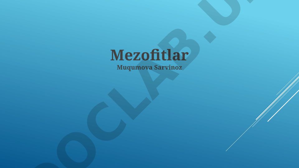 Mezofitlarning xususiyatlari va ekologik ahamiyati