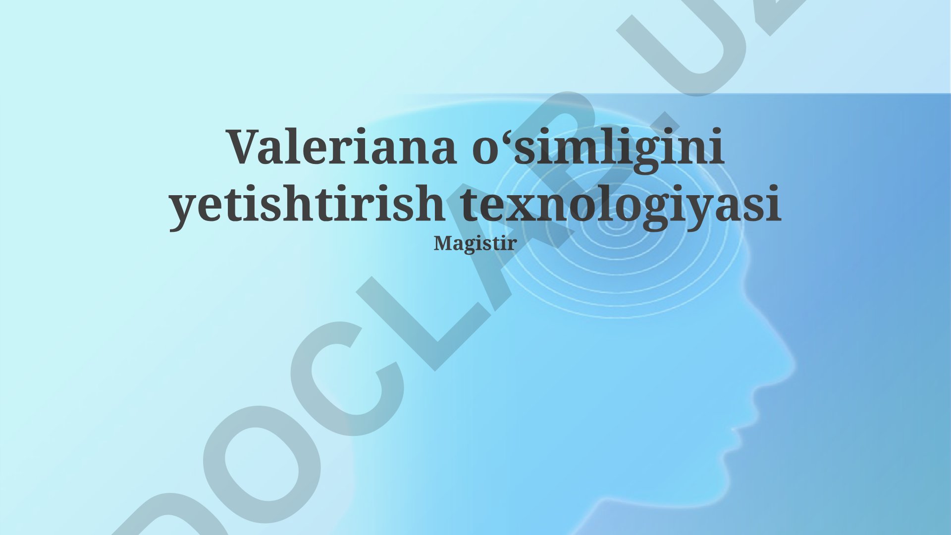 Valeriana oʻsimligini yetishtirish texnologiyasi