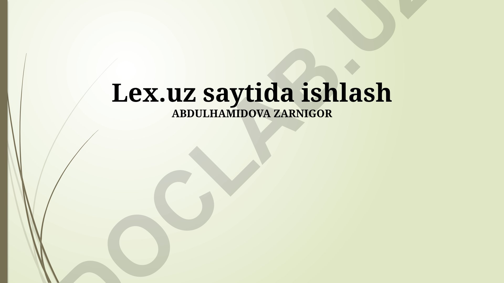 Lex.Uz kompaniyasida ishga qabul qilish jarayoni va imkoniyatlari