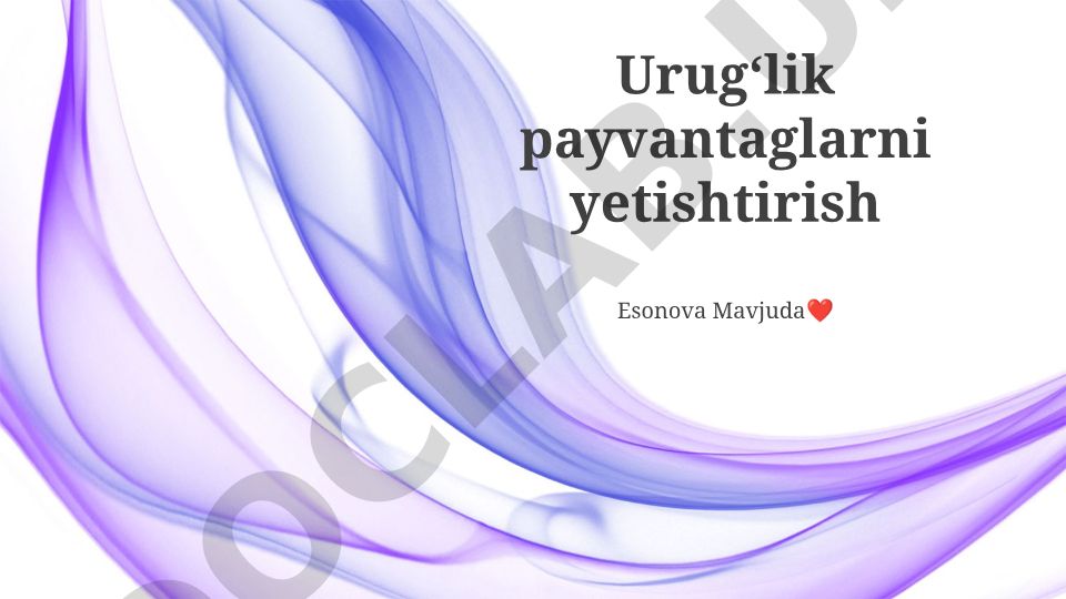 Urugʻlik payvantaglarni yetishtirish va ko'chat ekish texnologiyalari