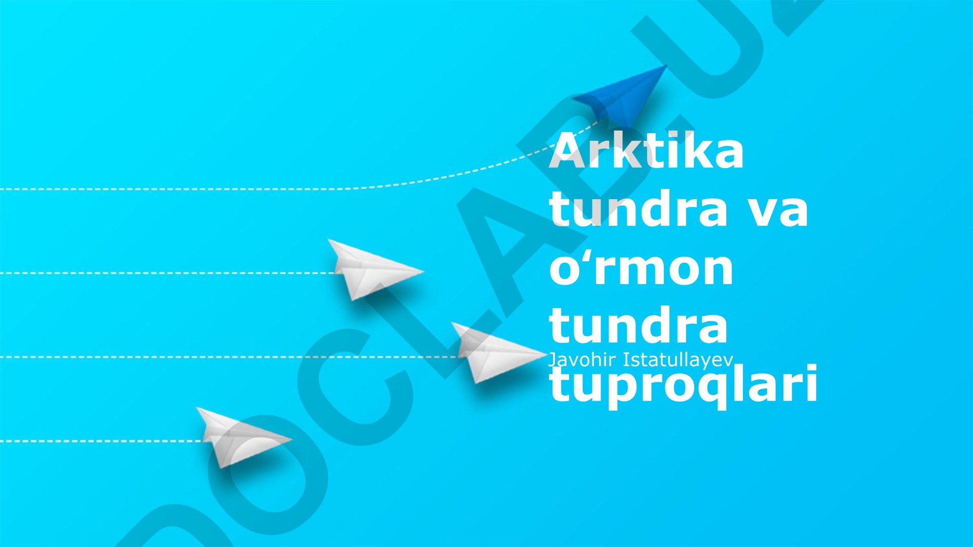 Arktika tundra va oʻrmon tundra tuproqlari
