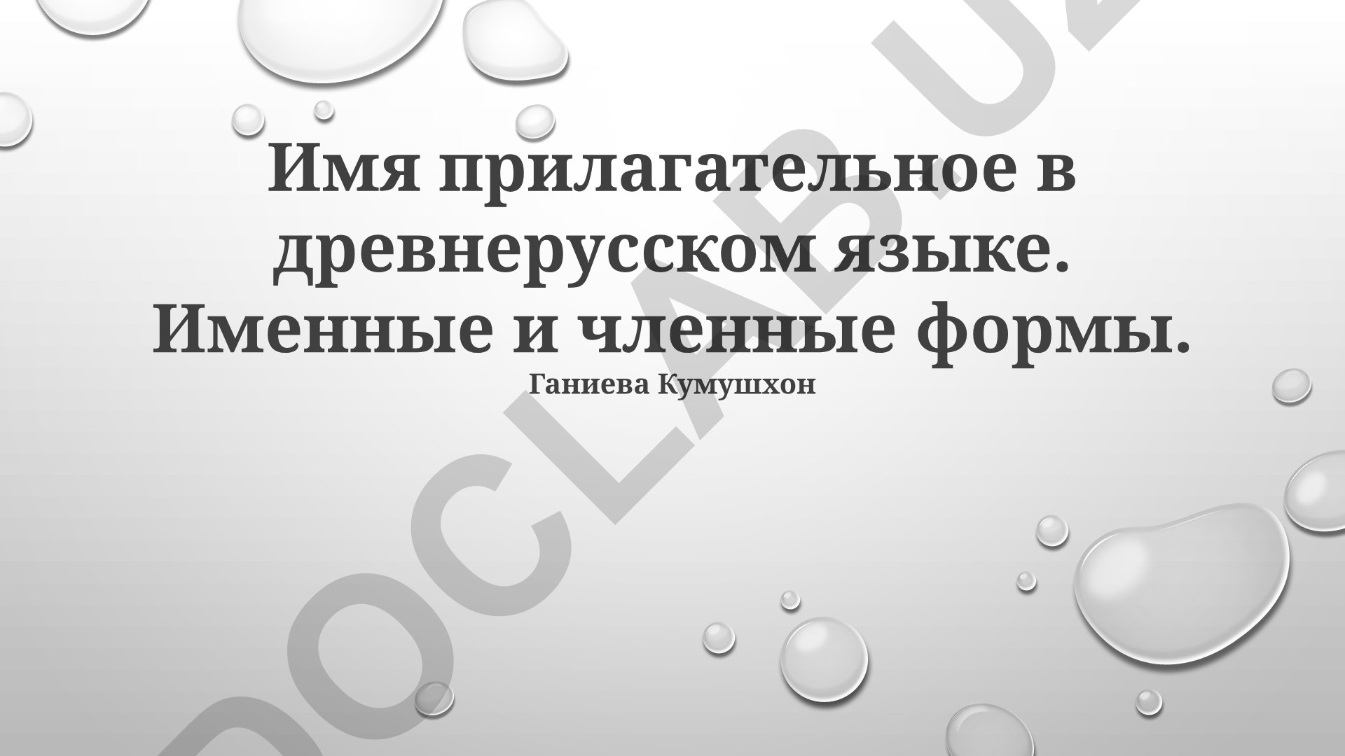 Именные и членные формы прилагательного в древнерусском языке