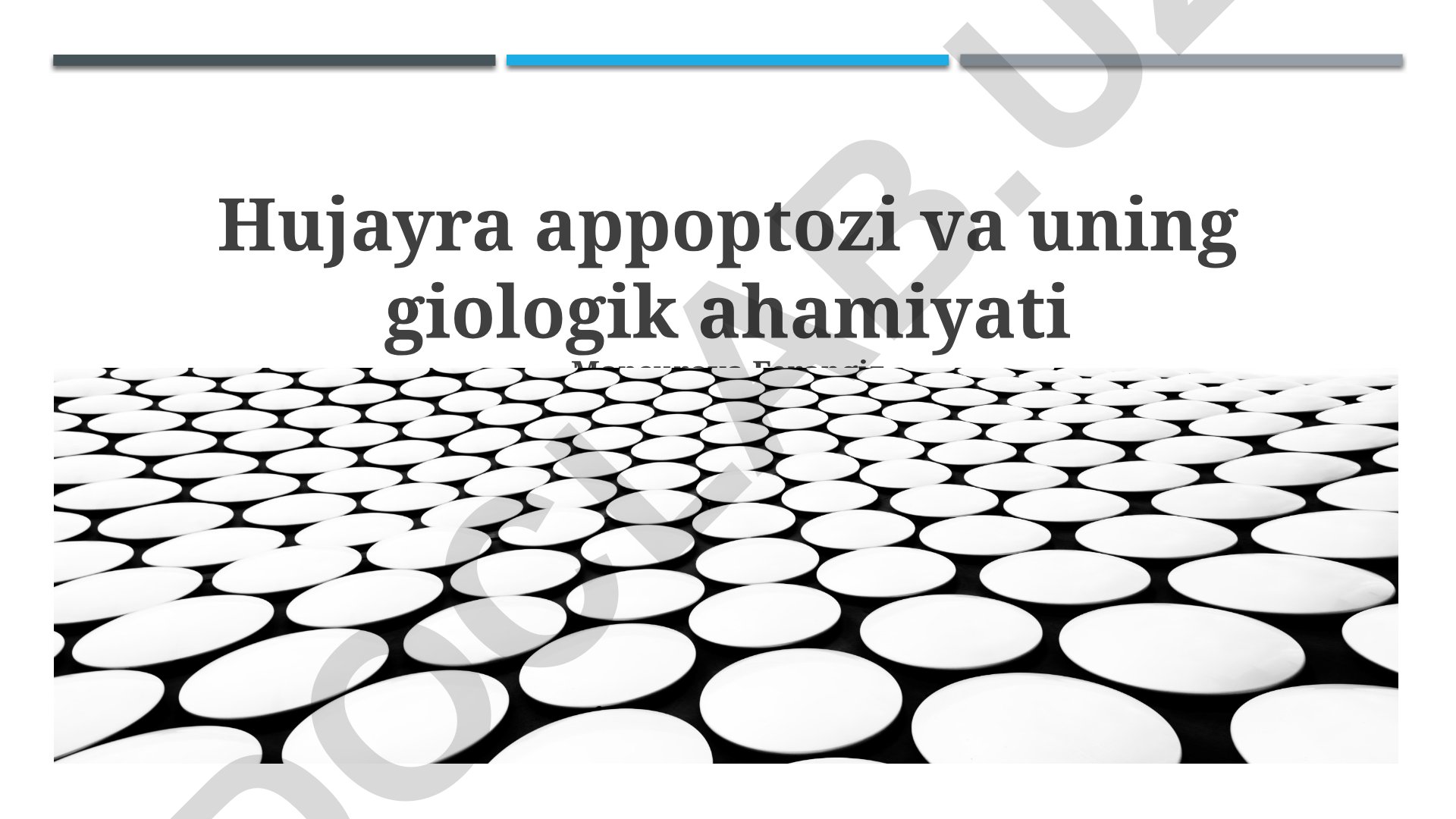 Hujayra apoptozi va uning biologik ahamiyati