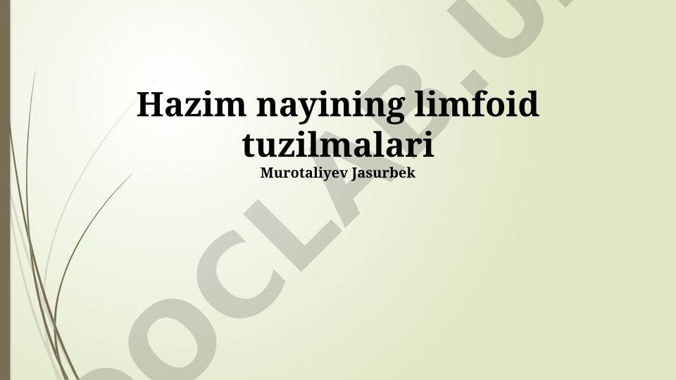 Hazim nayining limfoid tuzilmalari: anatomiyasi, tuzilishi va immun funktsiyasi