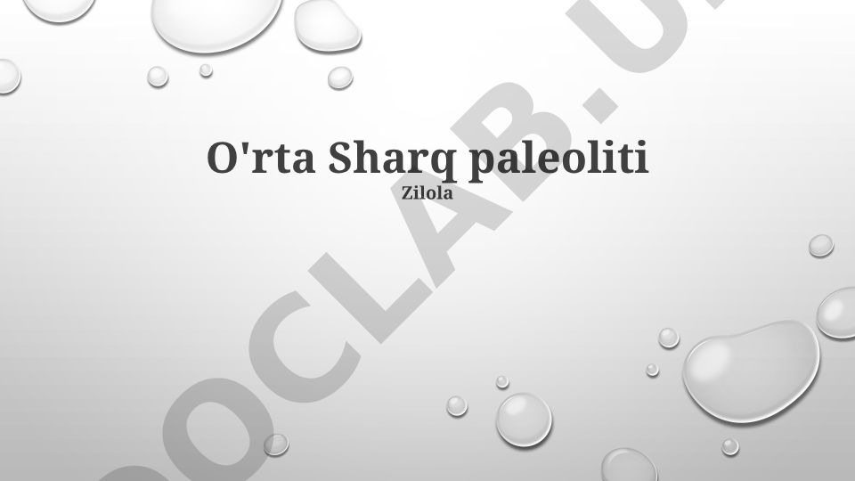 O'rta Sharq paleoliti madaniy moslashuvlar va arxeologik joylar