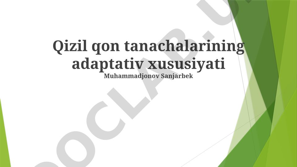 Qizil qon tanachalarining adaptativ xususiyatlari va patologik holatlarda o'zgarishlar