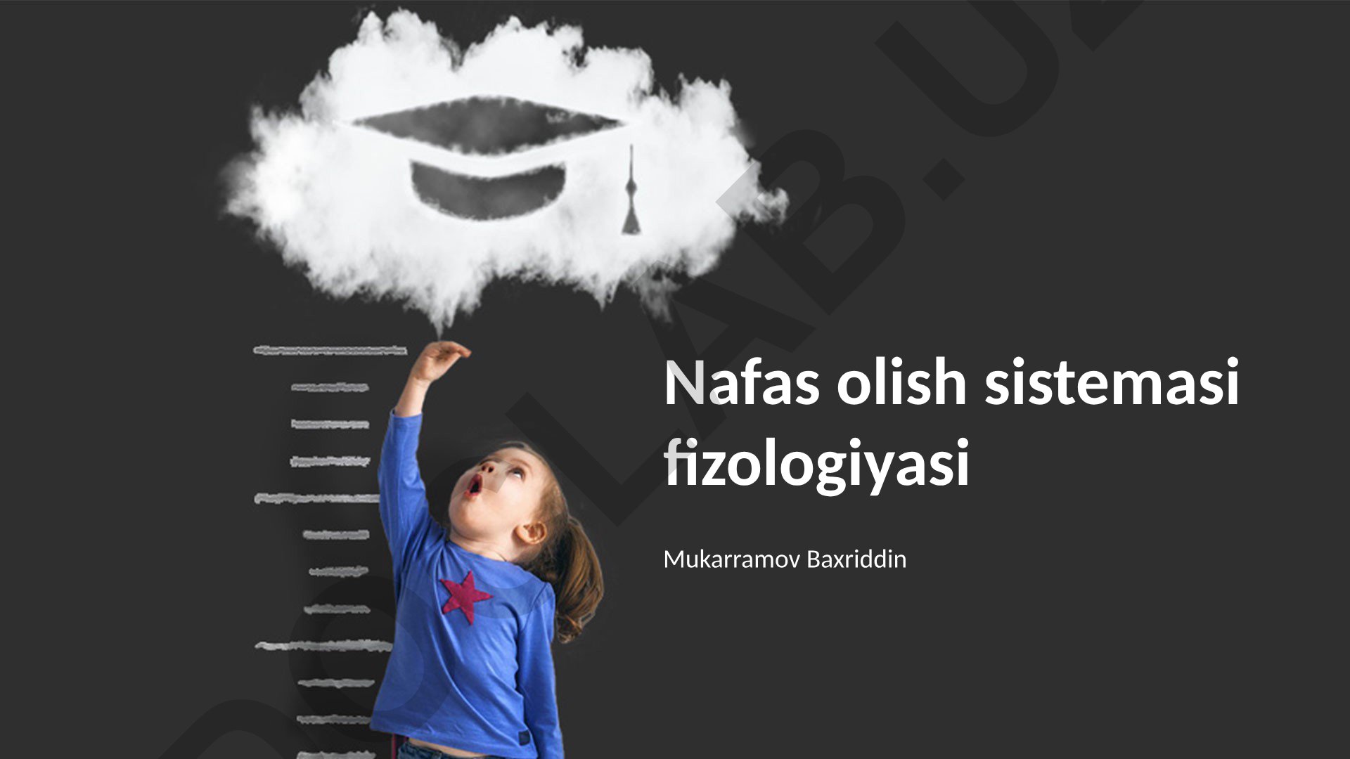 Nafas olish sistemasi fizologiyasi