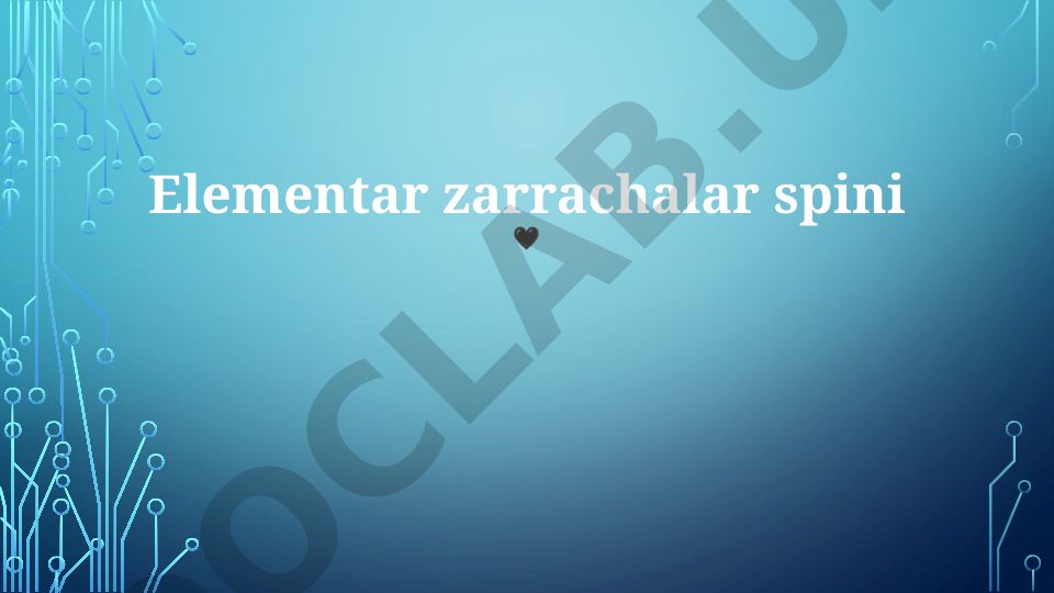 Elementar zarrachalar spini va magnit xususiyatlari
