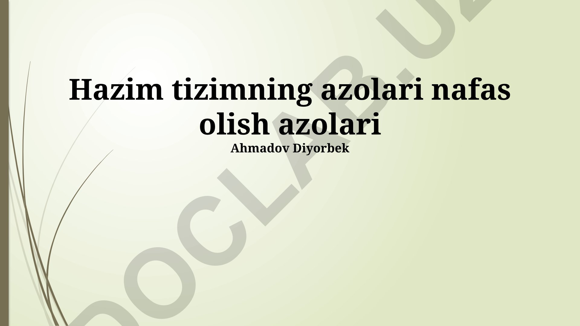 Hazm tizimi va nafas olish tizimi o'rtasidagi bog'liqlik