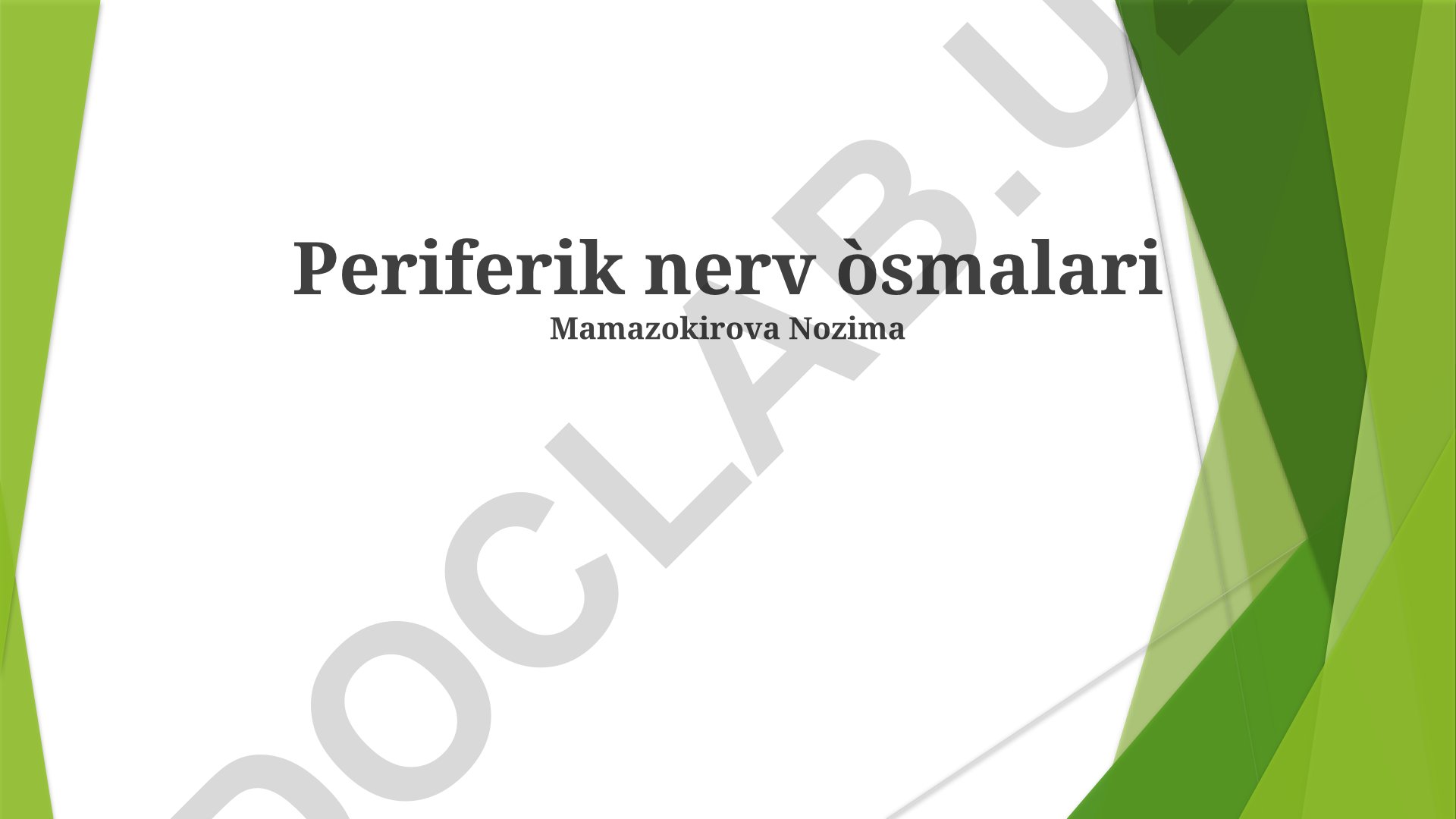 Periferik nerv òsmalari va nerv sistemasi tuzilishi