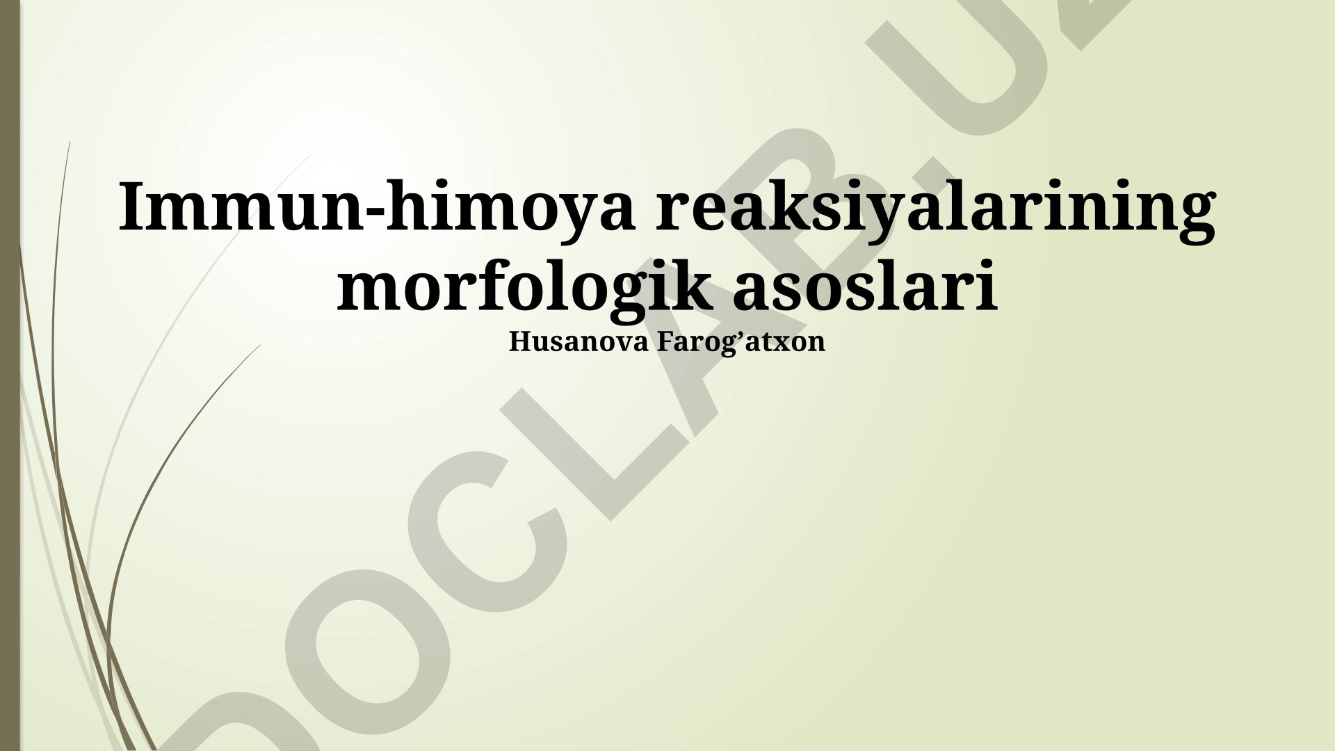 Immun-himoya reaksiyalarining morfologik asoslari